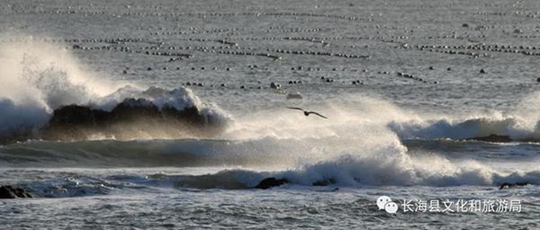 �L���h����