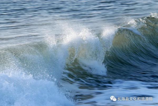 �L���h����