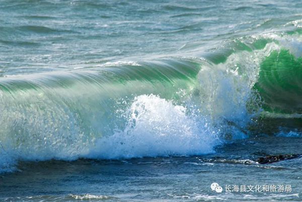 �L���h����