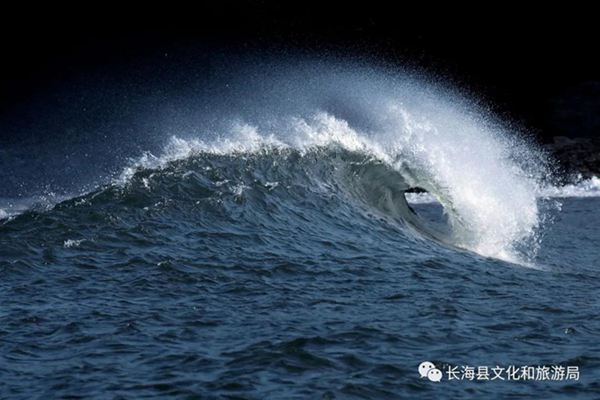 �L���h����