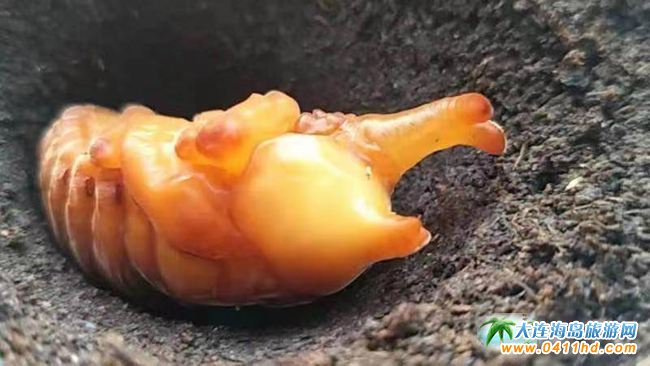 ������(ji��)���B����