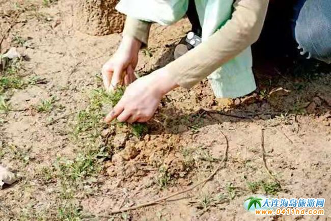 ������(ji��)���B����