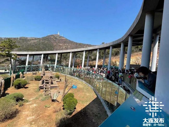 ���B���ξ��c