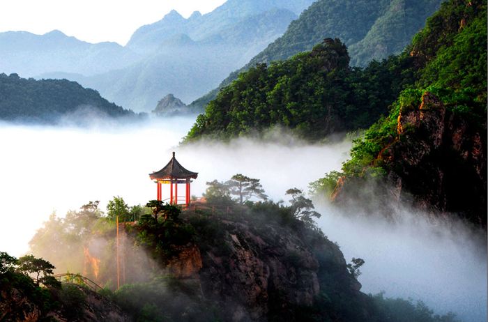 ���|�P��ɽ�TƱ