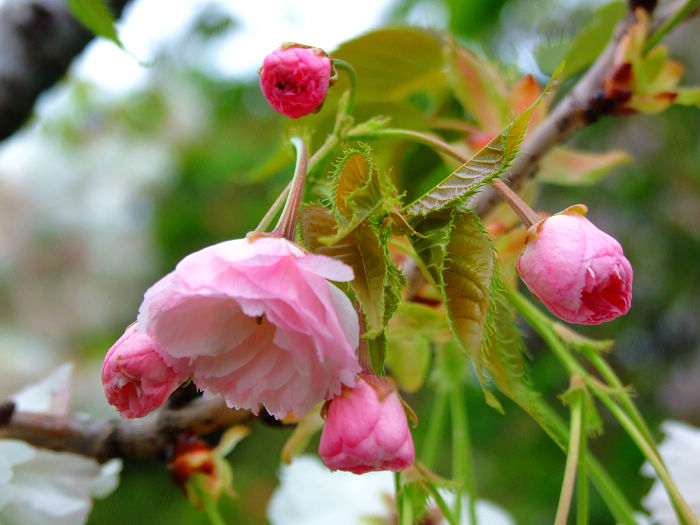 2021���B����혣��ѻ���(ji��)