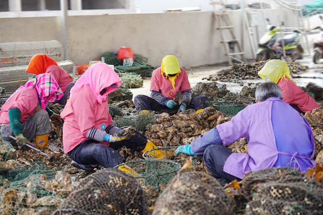 ���u�O��