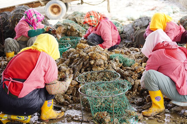 ���u�O��