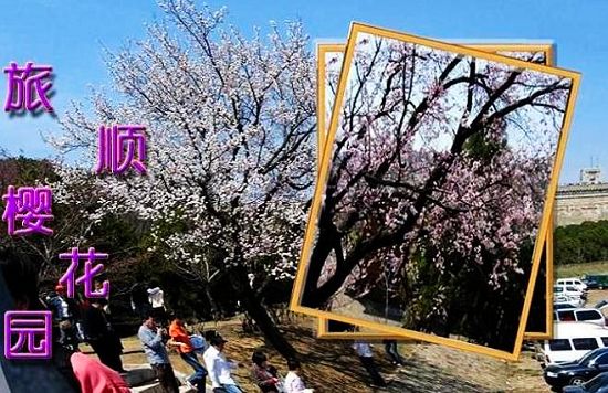 2021���B��혙ѻ�һ����