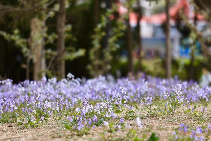 ���B��ʯ������