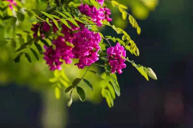 ���B��ʯ������