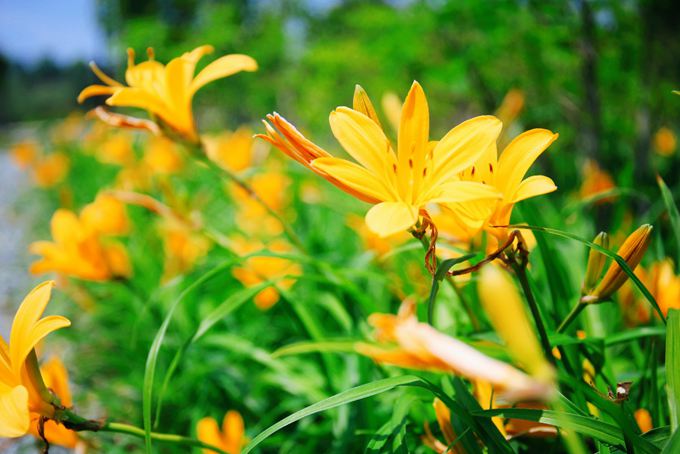 ���B��ʯ������