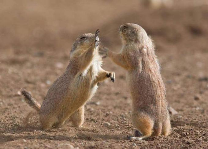 ���B��ʯ������