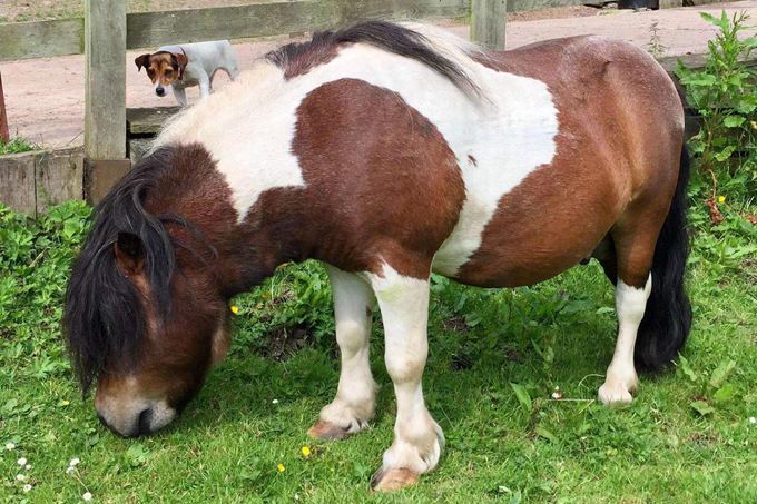 ���B��ʯ������