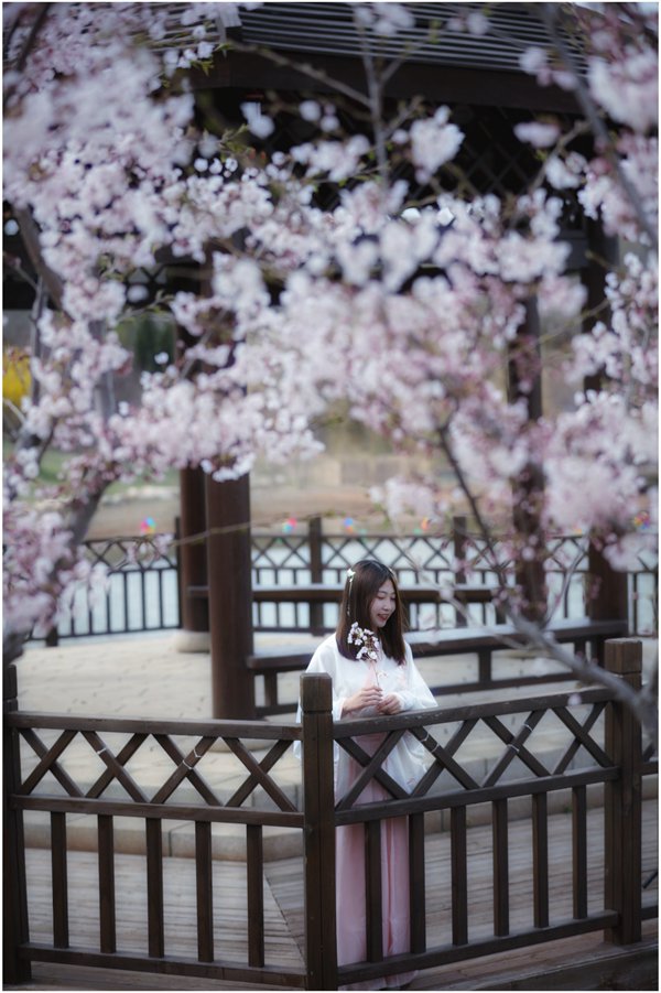 ��һ���B����