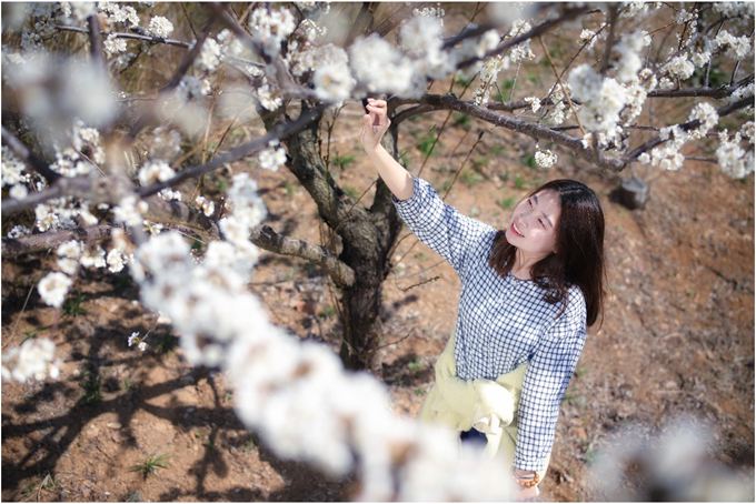 ��һ���B����