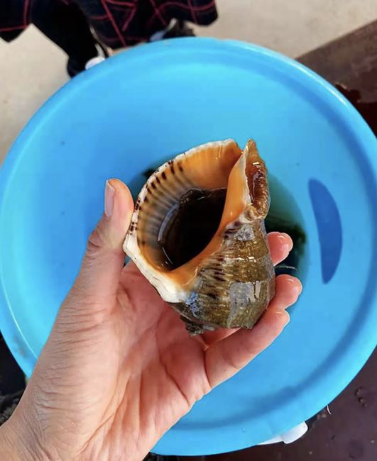 ���B��ʯ���Đ��u���@