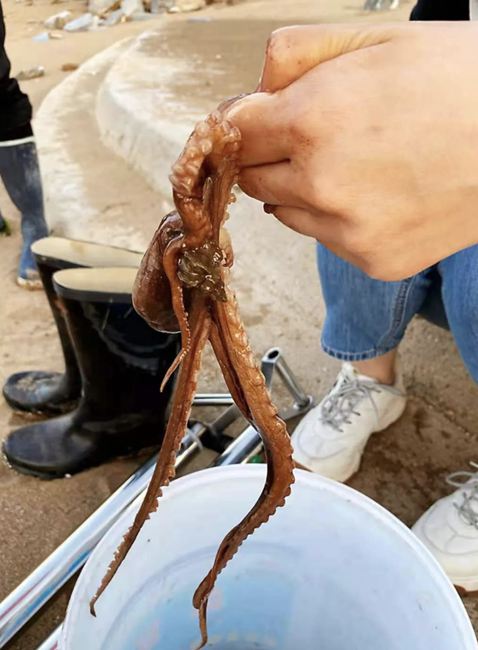 ���B��ʯ���Đ��u���@