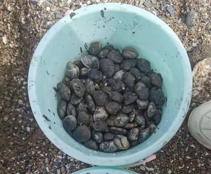 ���B�s��