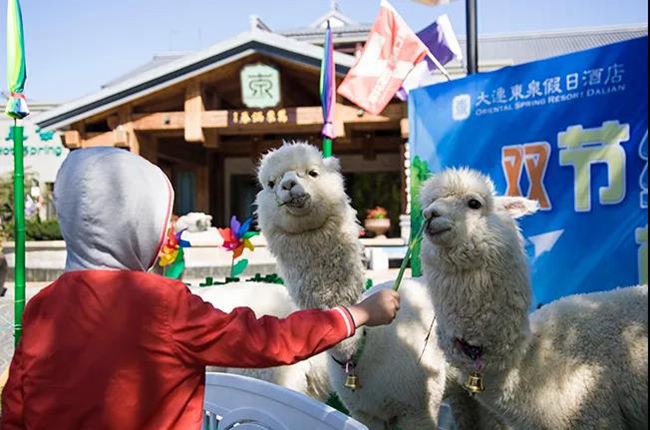 ���B�|Ȫ��Ȫ���վƵ�