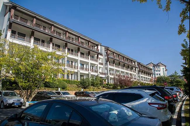 ���B�|Ȫ��Ȫ���վƵ�