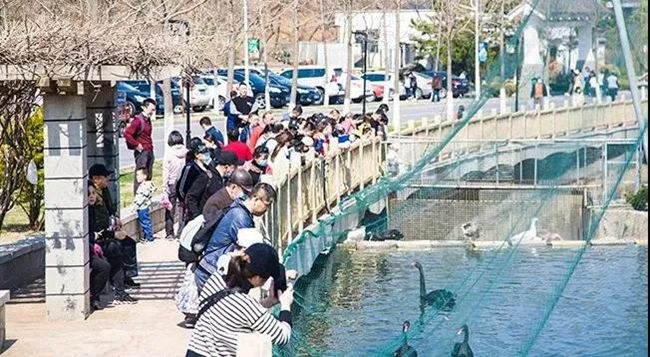 ���B�|Ȫ��Ȫ���վƵ�