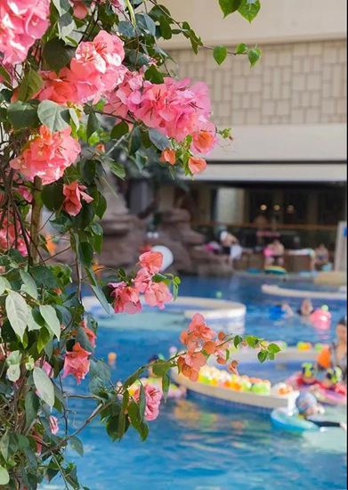 ���B��һ����