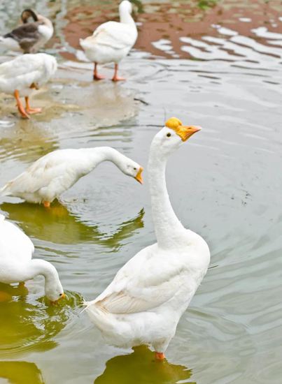 ���B����