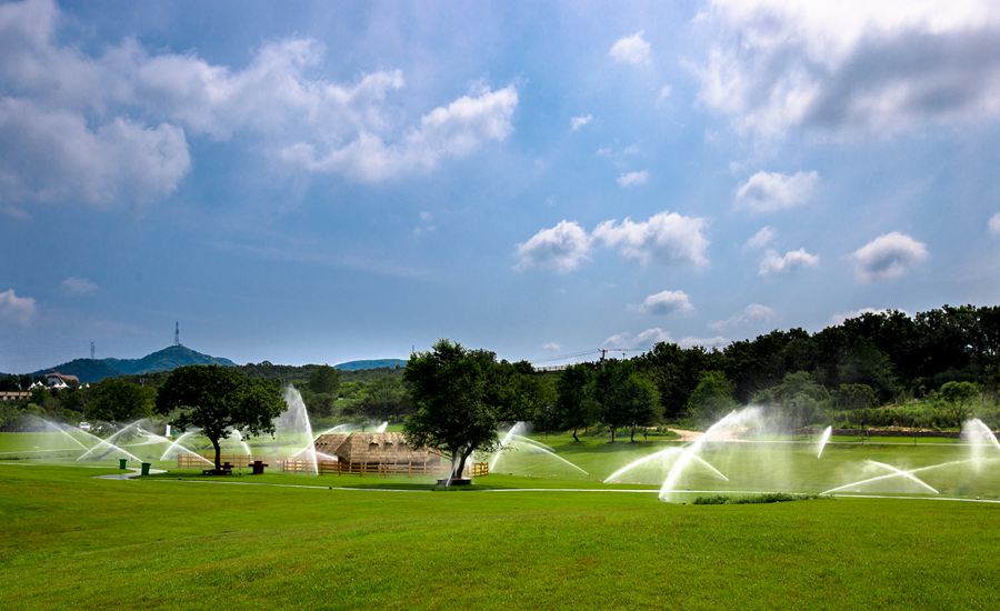 ���B�����������