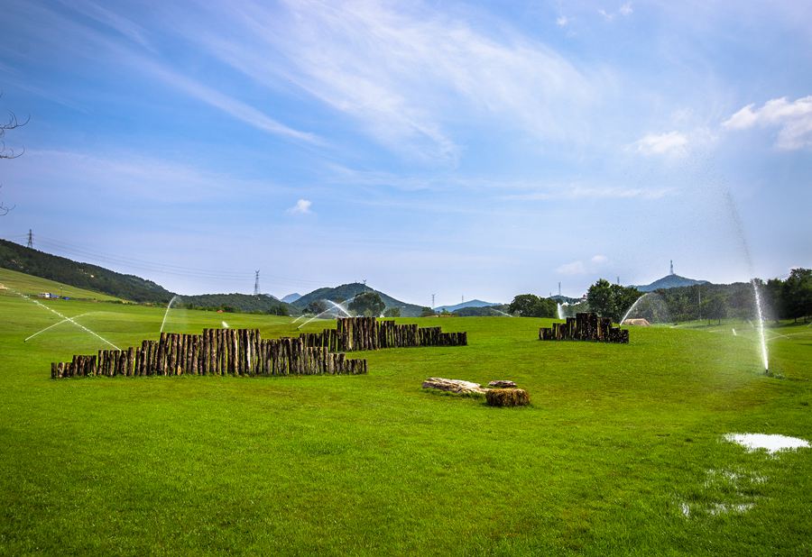 ���B����������ι���