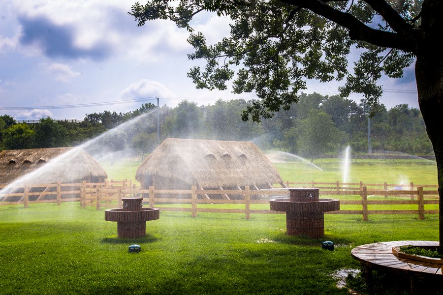 ���������ʲô�����