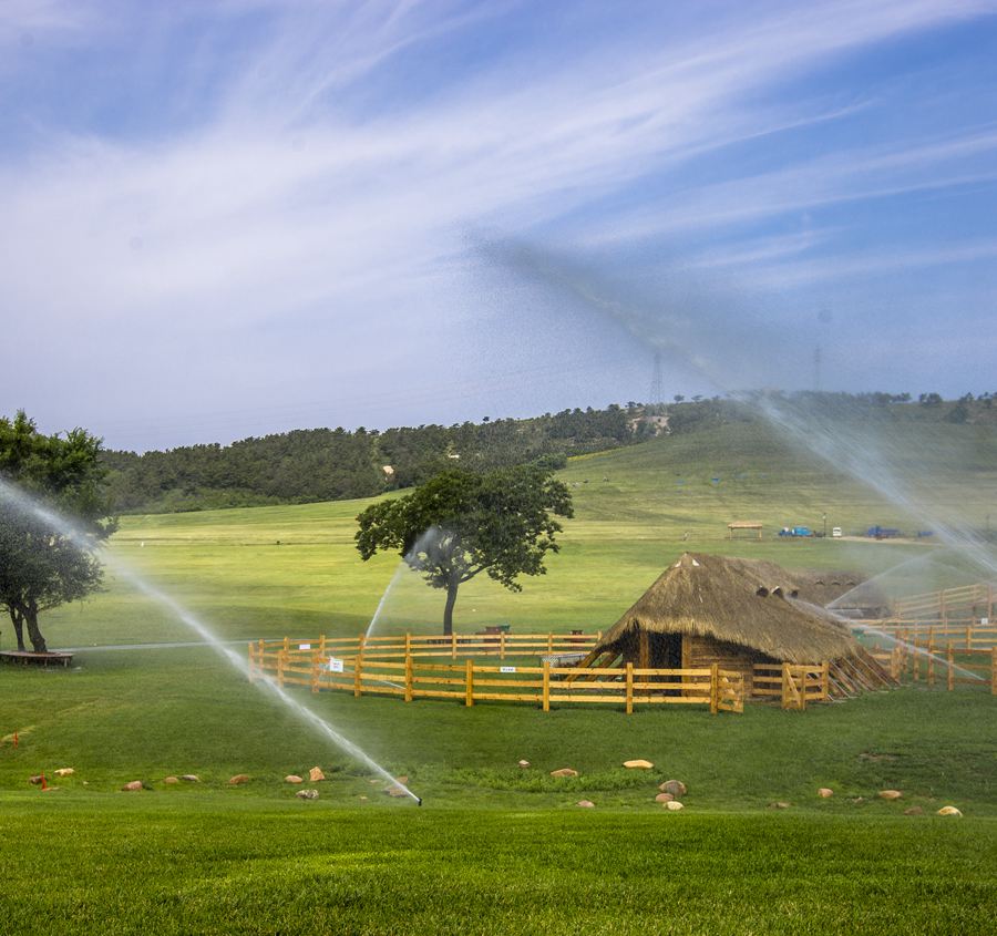 ���B��������TƱ,2021���B����������ι���(�TƱ�r��,λ��,����