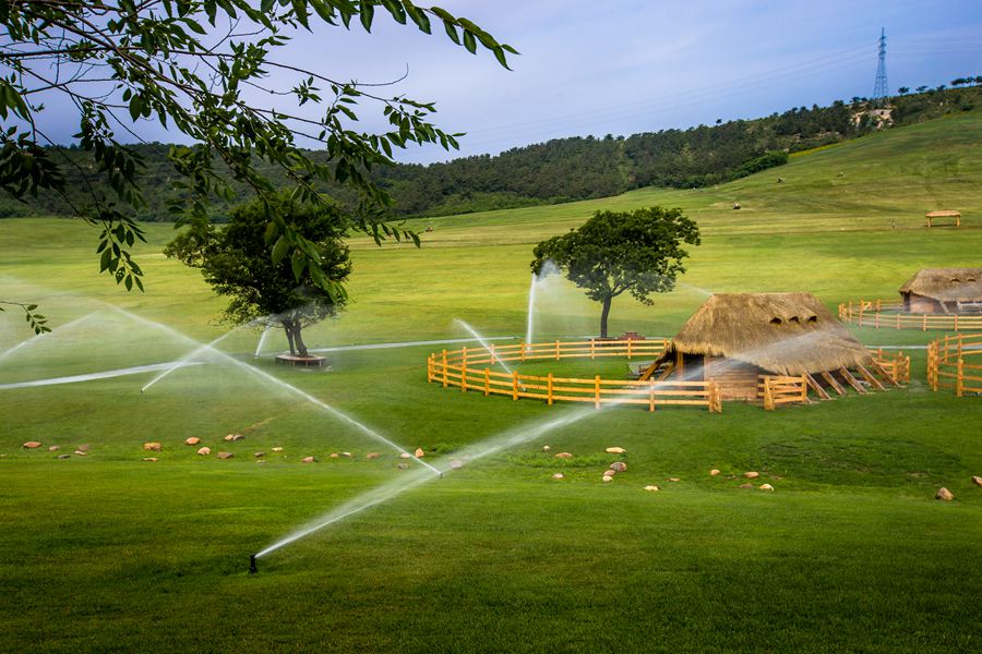 ���B��������TƱ,2021���B����������ι���(�TƱ�r��,λ��,����