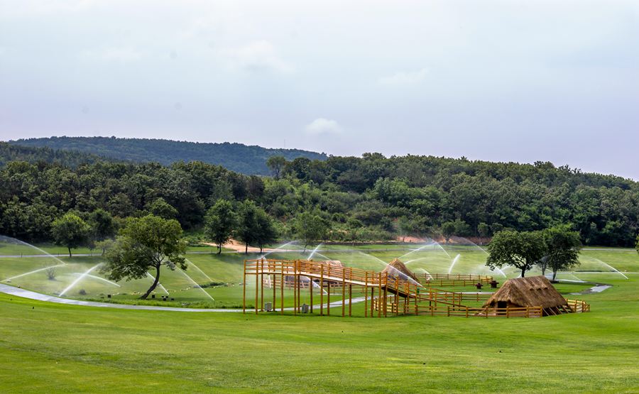 ���B��������TƱ,2021���B����������ι���(�TƱ�r��,λ��,����