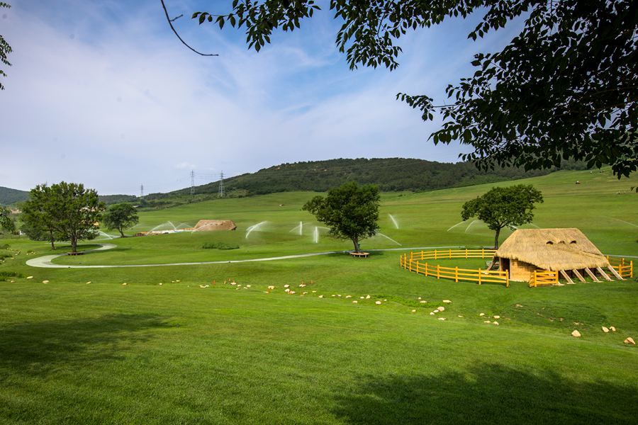 ���B�������