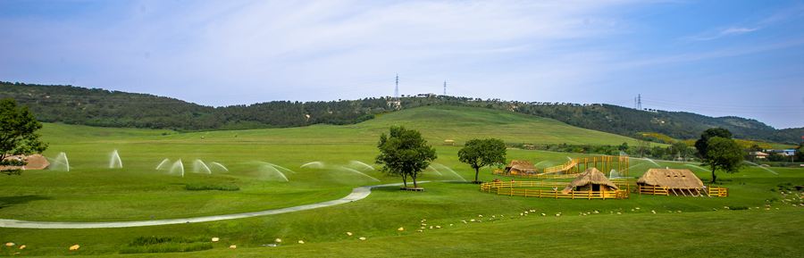 ���B��������TƱ