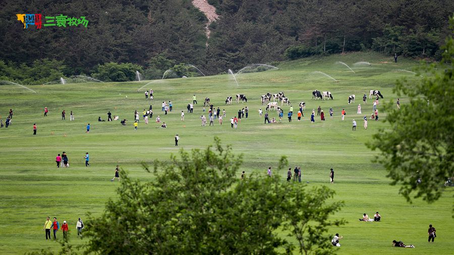 �����^���_