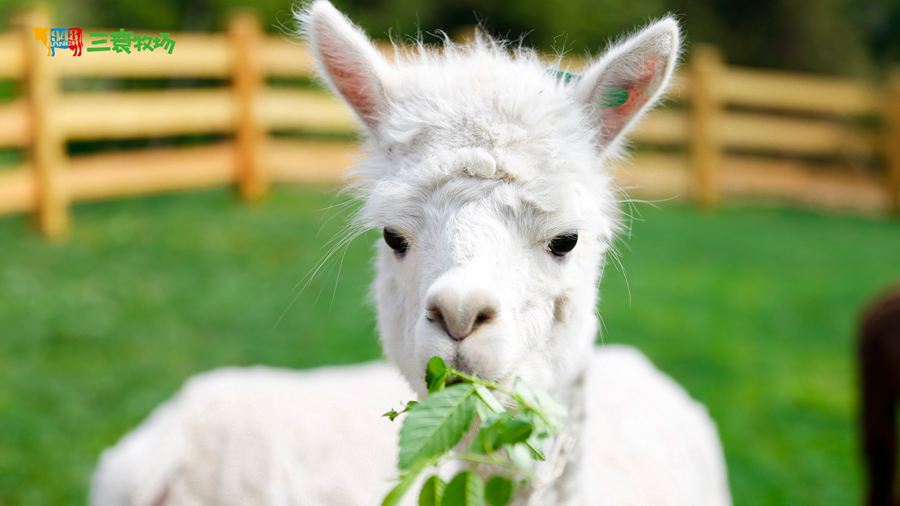 ��������������^(q��)