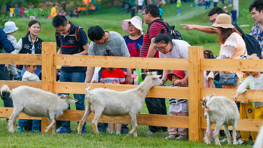 ��������������^(q��)