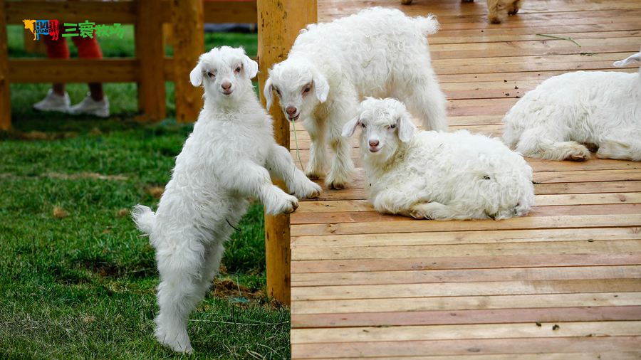 ��������������^(q��)