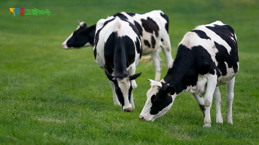 ��������������^(q��)