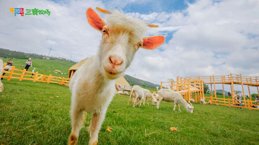 ��������������^(q��)