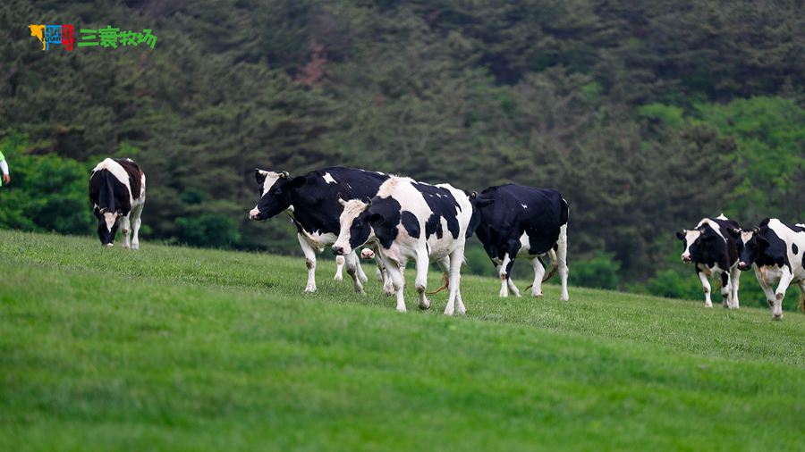 ��������������^(q��)