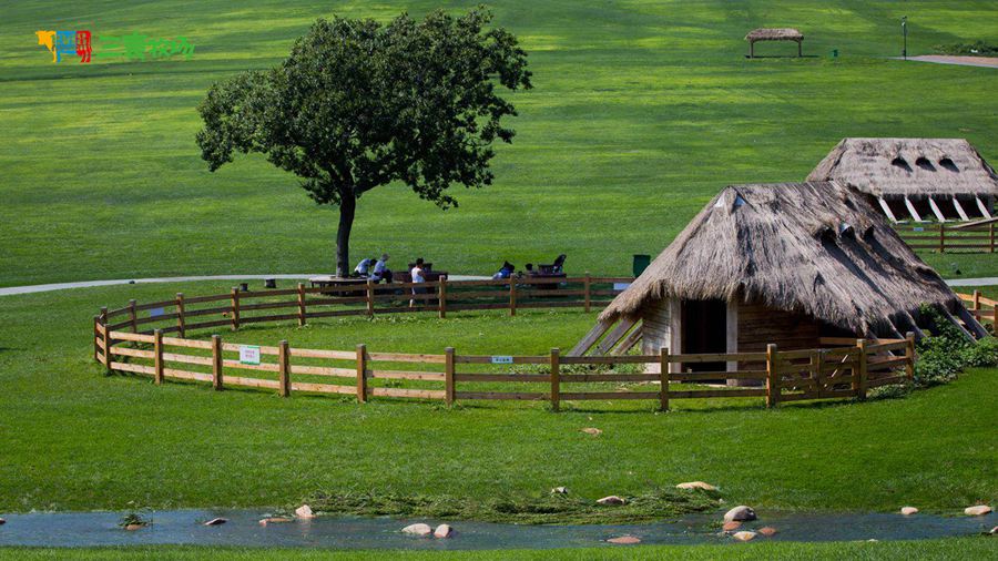 �������ͯԒɭ��