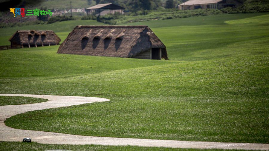 �������ͯԒɭ��