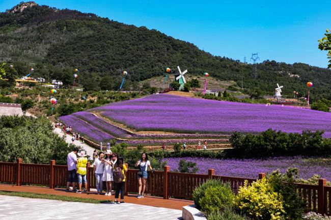 2021���B�p����