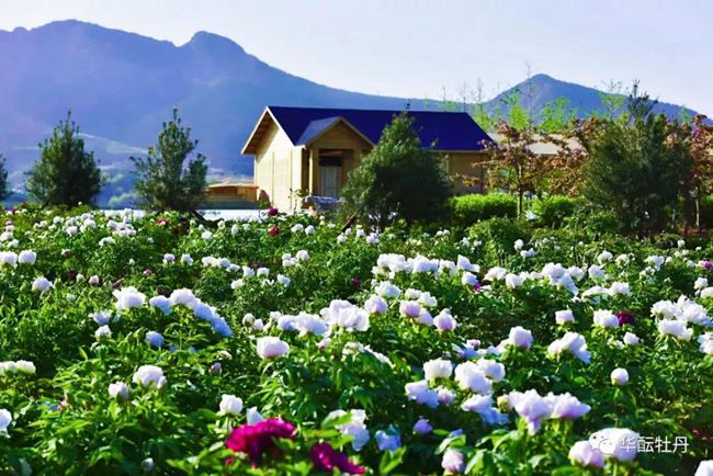 2021���B�p����