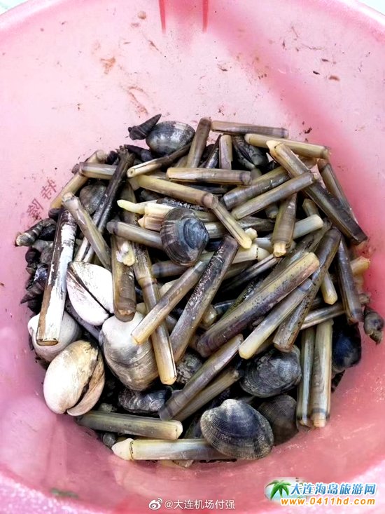 ���B�s����õĵط�������:��ɳ���s��