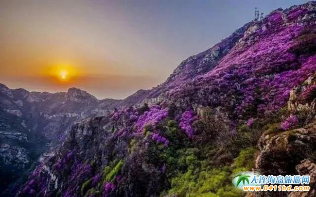 2021��(gu��)�����ò�(ԭ���ξ�)��(du��)�������������