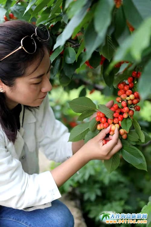 2021���B����Ҳ�ժ