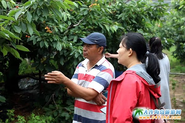 2021���B����Ҳ�ժ